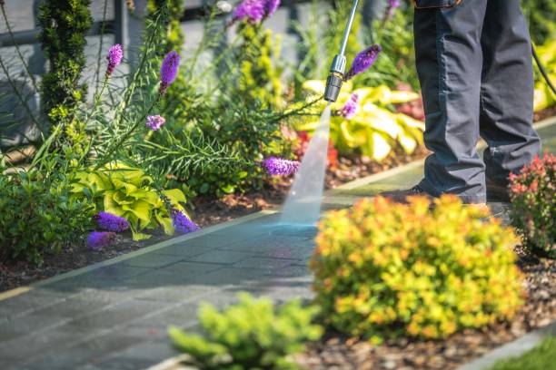 Best Restaurant Pressure Washing  in Angola On The Lake, NY